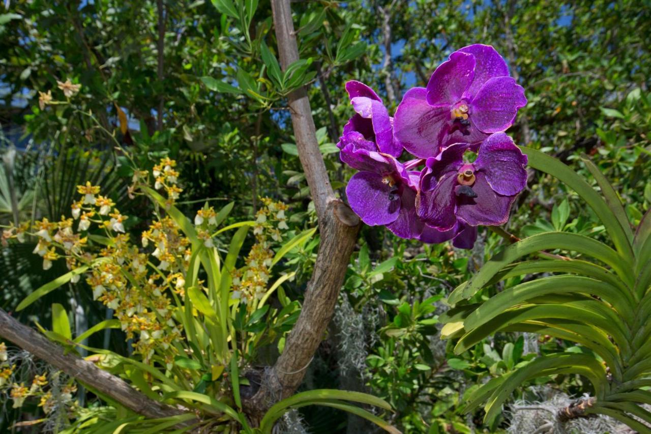 Paradise Found Cayo Hueso Εξωτερικό φωτογραφία